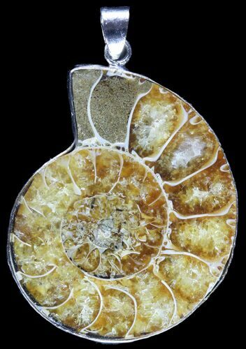 Fossil Ammonite Pendant - Million Years Old #89834
